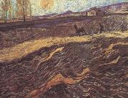 Vincent Van Gogh Enclosed Field with Ploughman (nn04) painting